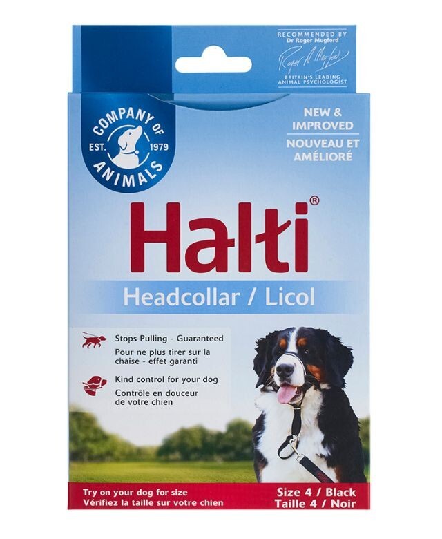 Company of Animals - Collier d'entraînement pour chiens - Taille 41